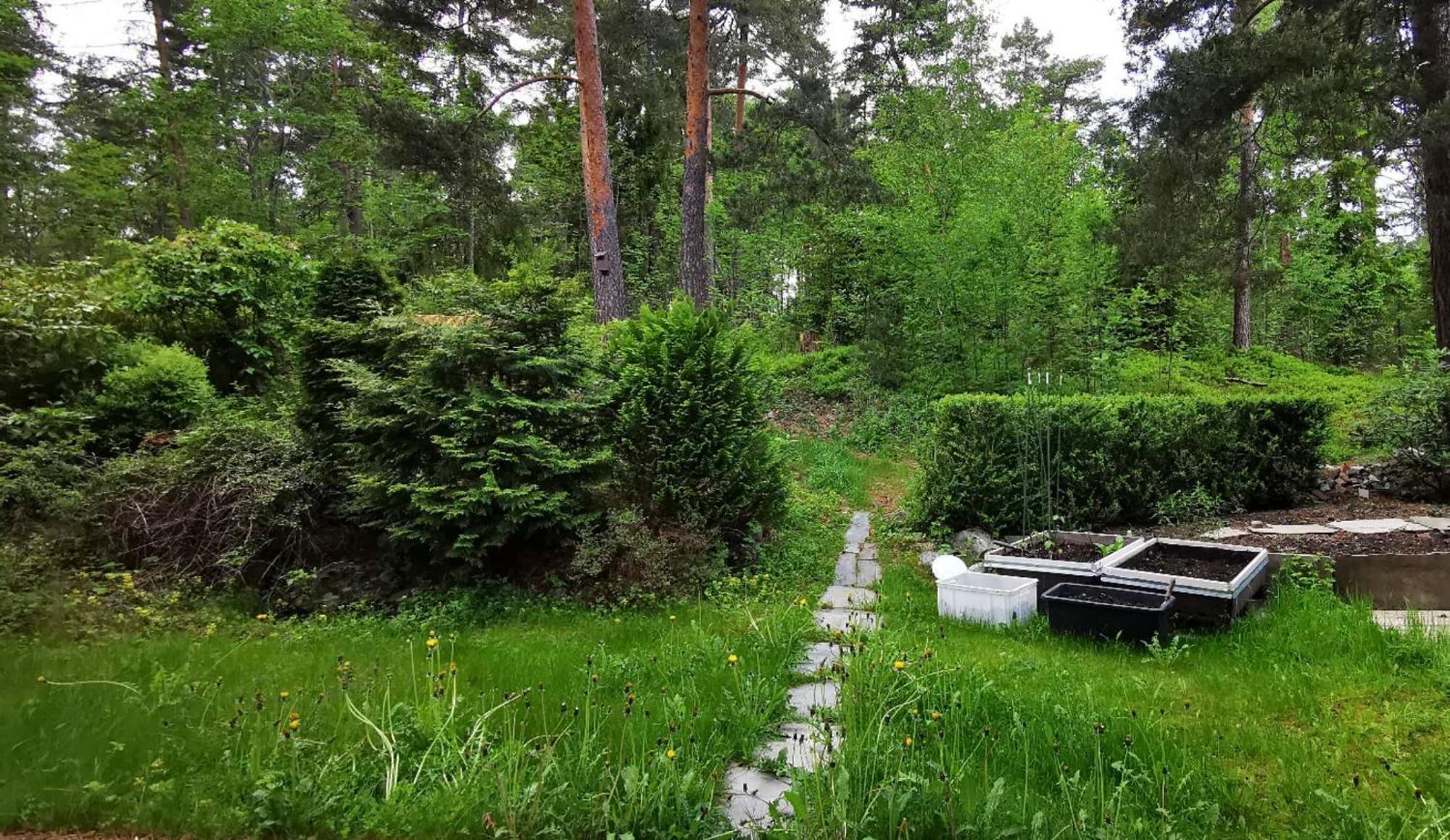 Holmenkollen Forest House Free Parking Appartement Oslo Buitenkant foto